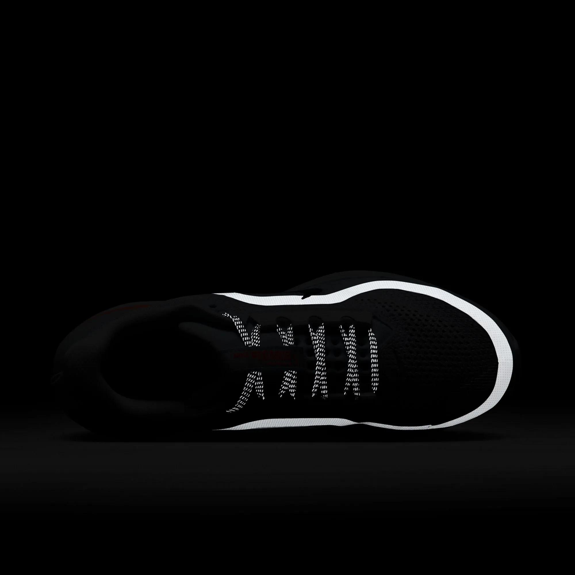 Pegasus Premium Women's Road Running Shoe