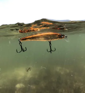 Pro Lure ST72S