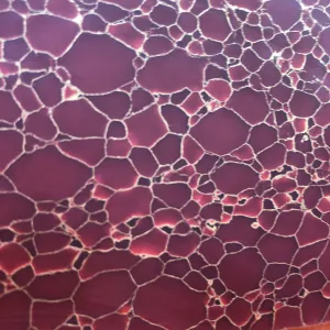 TruStone- Red with Gold Web - 1.5" x 6"- 1 Piece